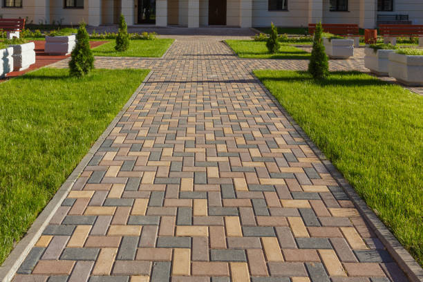 Best Professional Driveway Pavers  in Jonesborough, TN
